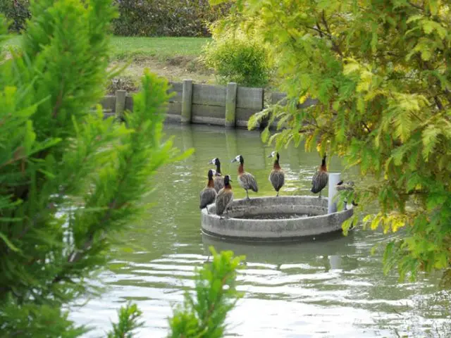 Initiative botanique 2012 - Jardin du Bois Marquis - Jardin de l'année 2012