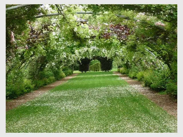 Jardin de l'année 2012 - Jardins de Séricourt - Jardin de l'année 2012