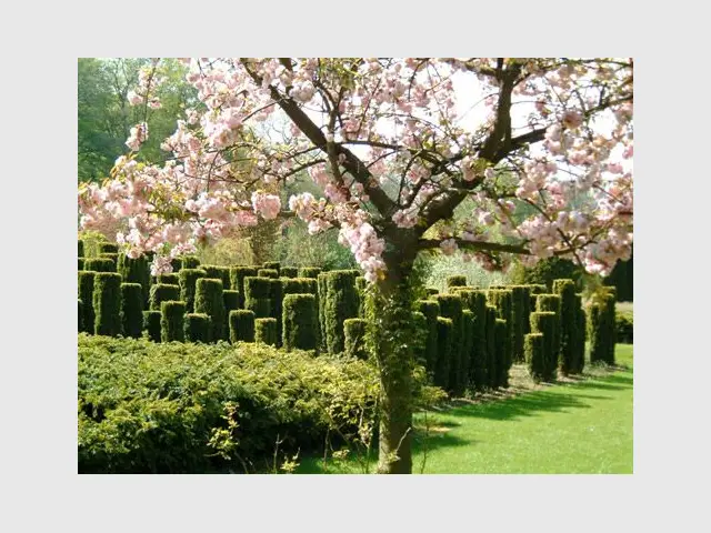 Jardin de l'année 2012 - Jardins de Séricourt - Jardin de l'année 2012