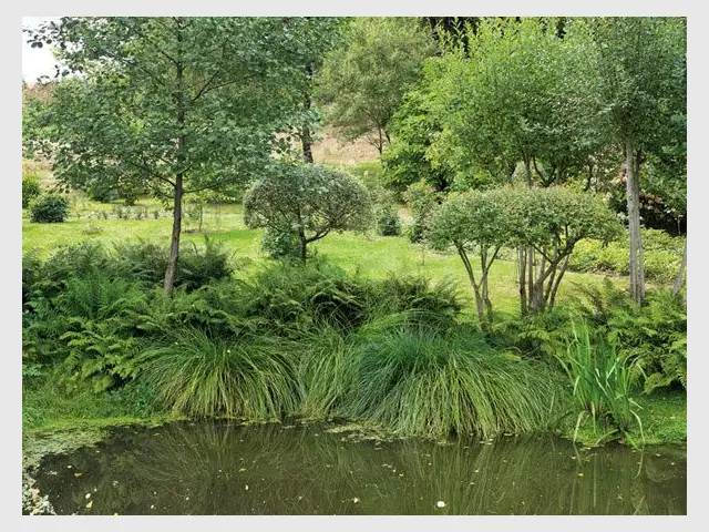 Coup de coeur 2012 - Jardin de Val Maubrune - Jardin de l'année 2012