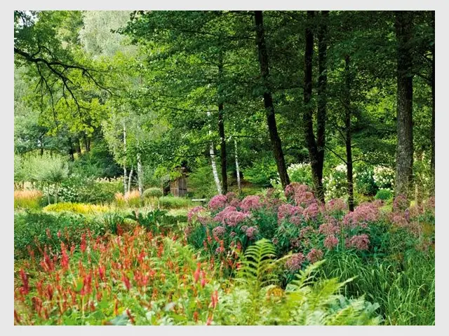 Coup de coeur 2012 - Jardin de Val Maubrune - Jardin de l'année 2012