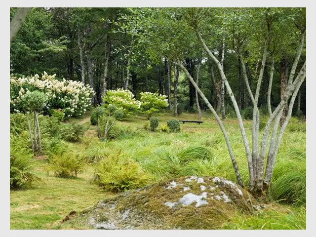 Coup de coeur 2012 - Jardin de Val Maubrune - Jardin de l'année 2012