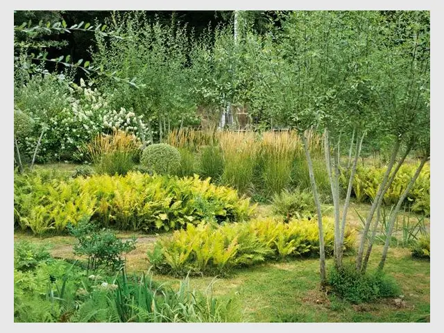 Coup de coeur 2012 - Jardin de Val Maubrune - Jardin de l'année 2012