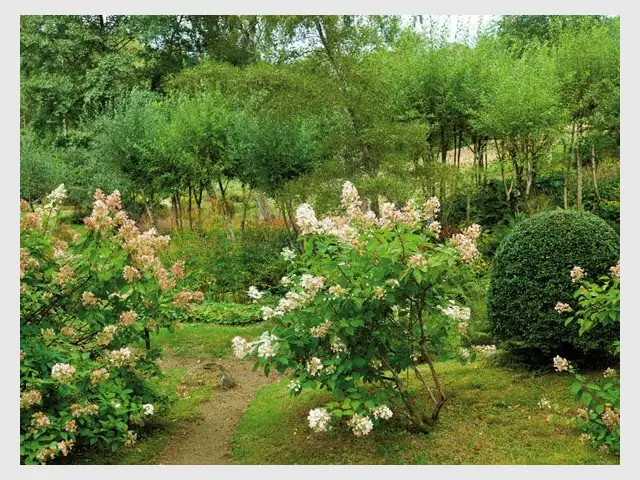 Coup de coeur 2012 - Jardin de Val Maubrune - Jardin de l'année 2012