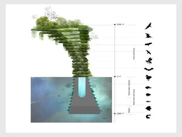 Empilement de strates - Sea Tree