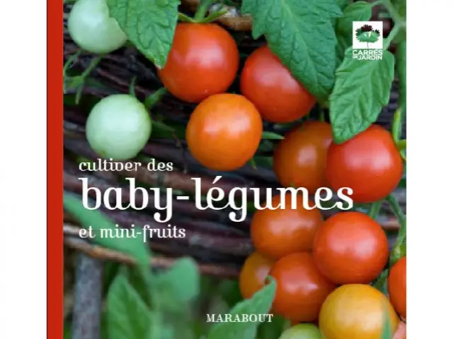 Cultiver des baby-légumes et mini-fruits