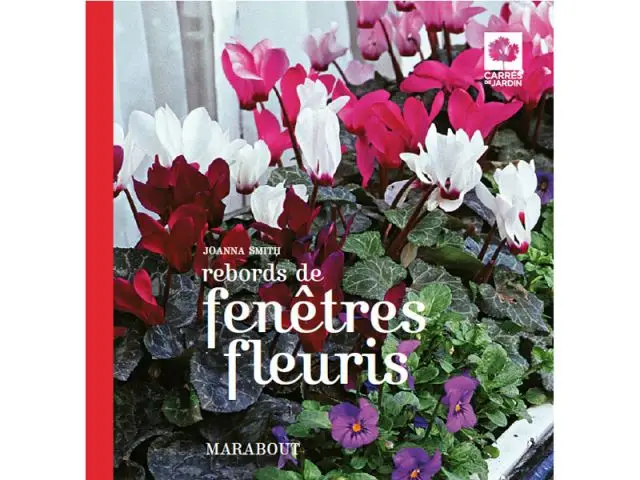 Rebords de fenêtres fleuris