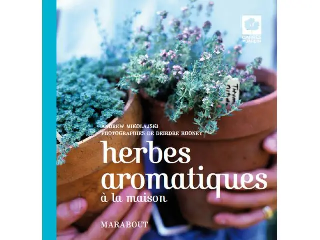 Herbes aromatiques à la maison