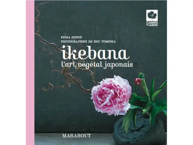 Ikebana, l'art végétal japonais