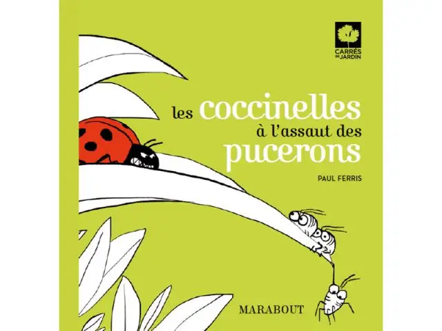 Les coccinelles à l'assaut des pucerons