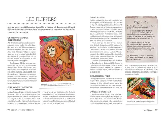 Les flippers rétro à la loupe - Livre Brocante