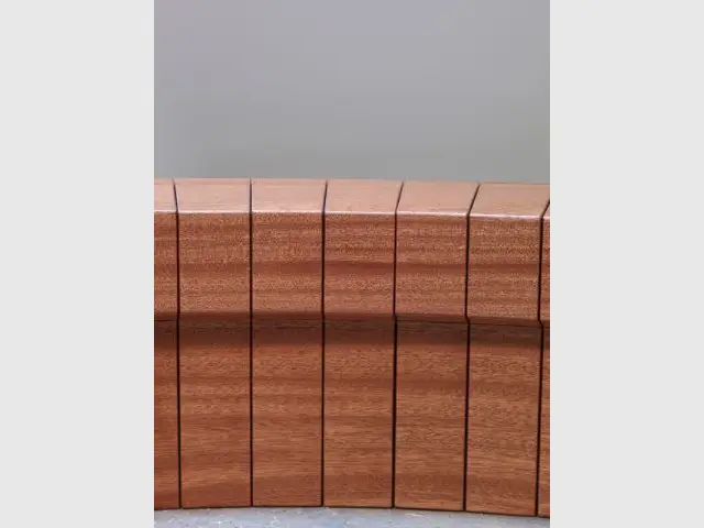 Flexibilité - Wood Ring