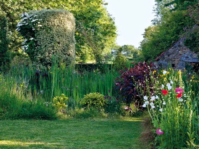 Le jardin, ce n'est pas qu'au printemps ! - Silence ça pousse