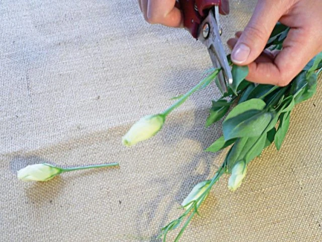 Couper les fleurs - Décoration de mariage