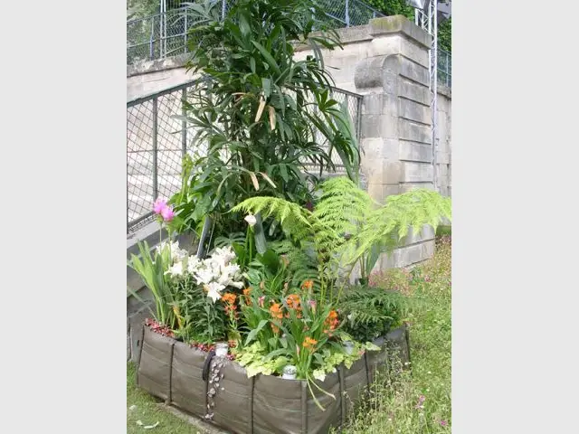 La jungle équatoriale de Claire Fournier - Jardins Jardin 2012