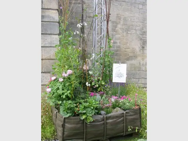 Le jardin romantique de Daphné Bürki - Jardins Jardin 2012