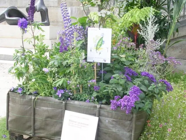 Le coin de paradis bleu d'Elie Semoun - Jardins Jardin 2012