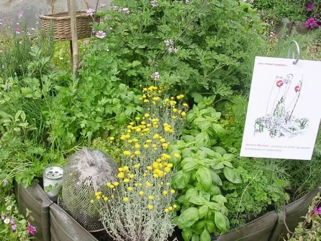 Le jardin d'apothicaire de Jérome Bonaldi (suite) - Jardins Jardin 2012