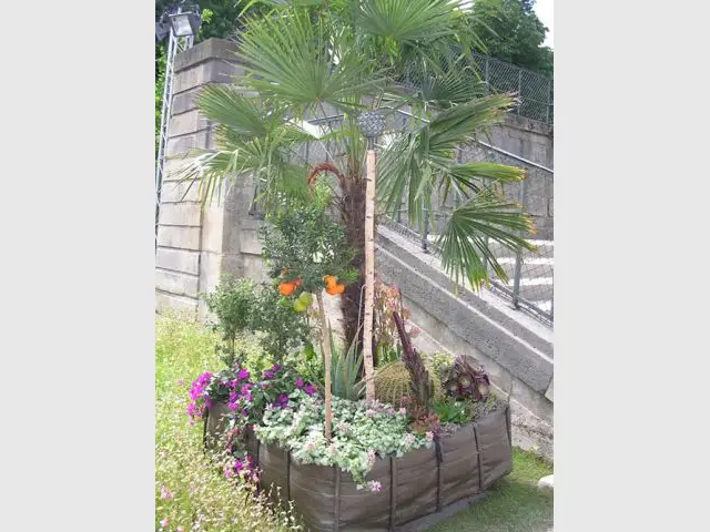 Le jardin de Majorque de Marina Carrère d'Encausse et Michel Cymès - Jardins Jardin 2012