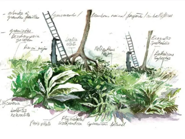 En vert / Plan - jardins expo