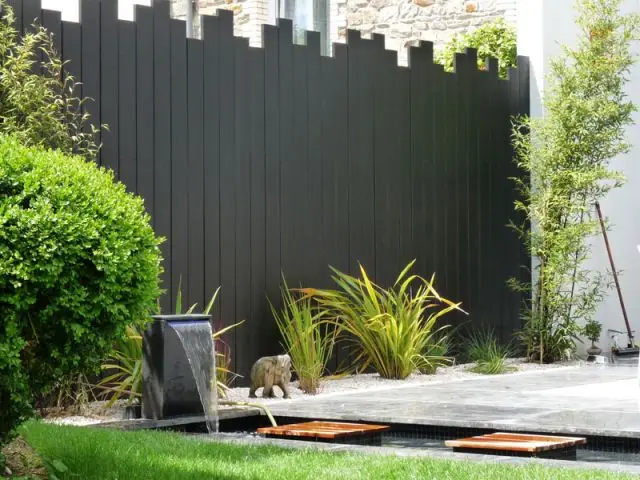 Végétaux "graphiques" - Terrasse Cardinal Jardin