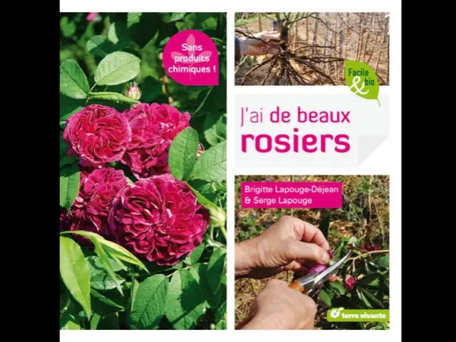 Obtenir de beaux rosiers - Livres jardin