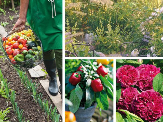 Le tout nouveau livre de bord du jardinage: Le livre de jardinage