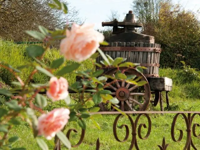 Renouer avec l'âme de la loge de vigne - Loge de Courtoux