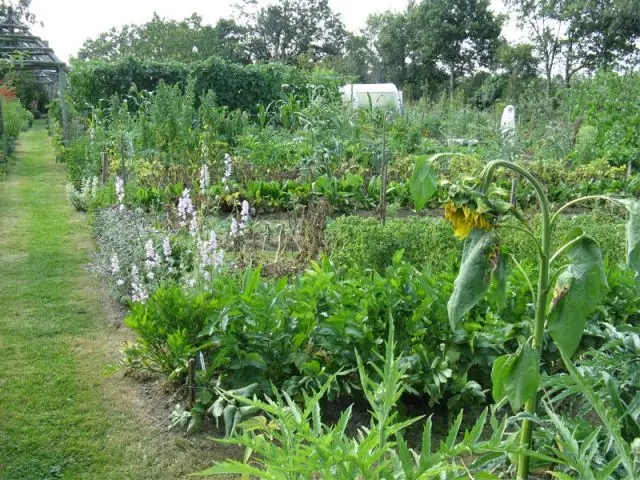 Grand Prix 2012 - Catégorie "jardin potager privatif" - CNJCF