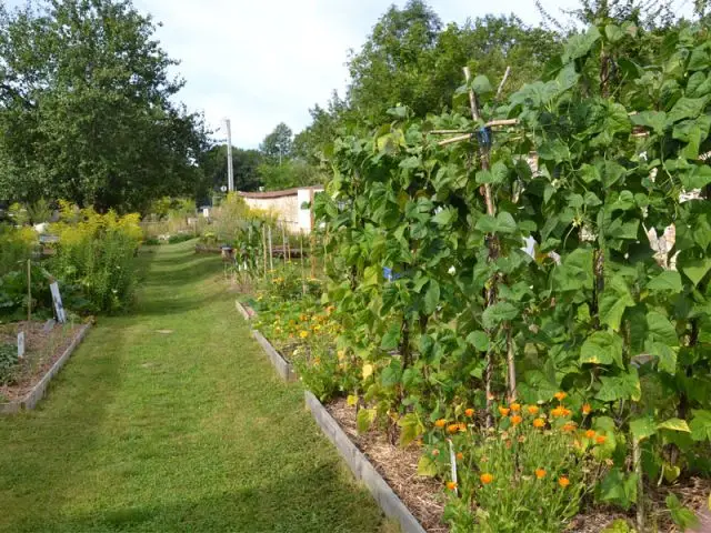 Grand Prix 2012 - Catégorie "Jardin ou parcelles pédagogiques" - Dominique Daviot - GNIS