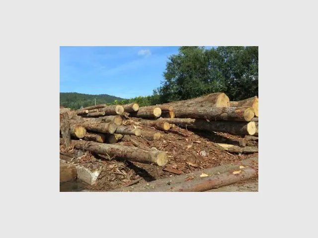 La diligence raisonnée - bois