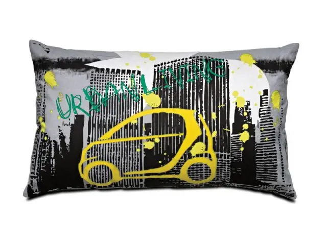 Coussin smartville