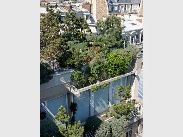 un balcon façon garrigue - Carnet de travail d'un jardinier paysagiste