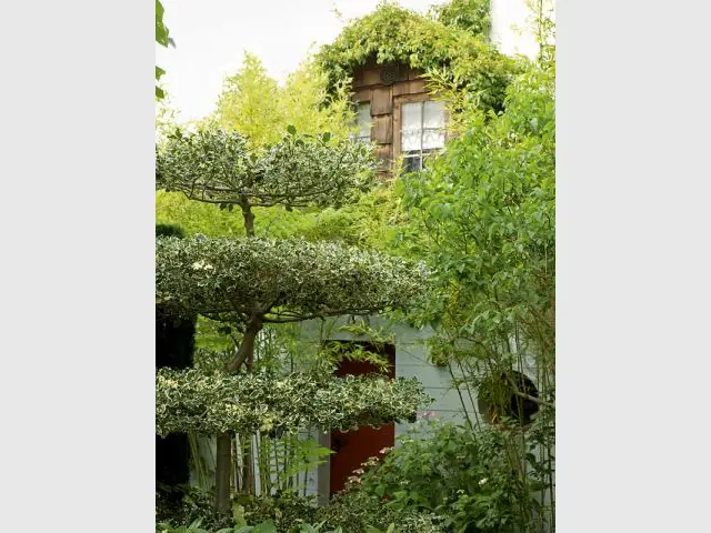 La cabane perchée sur le garage - Carnet de travail d'un jardinier paysagiste