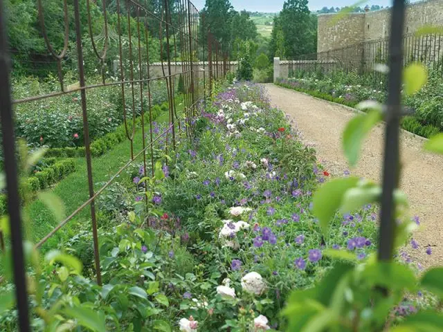 Château Saint Bernard 4 - jardin de l'année 2013