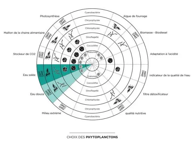 Choix des espèces de phytoplancton - Bloom