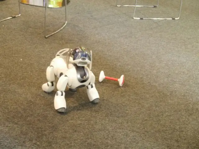 Aibo, le chien-robot - expo Cetelem