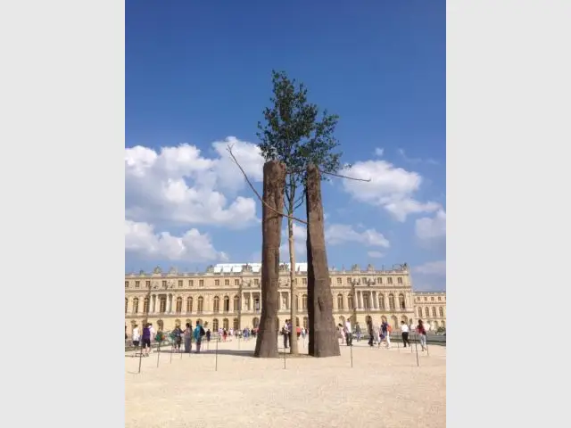 Exposition Penone à Versailles