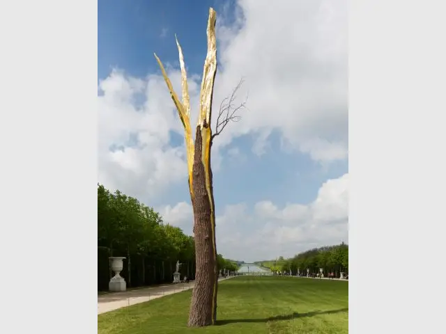 Arbre foudroyé  - Exposition Penone Versailles jardin troncs 