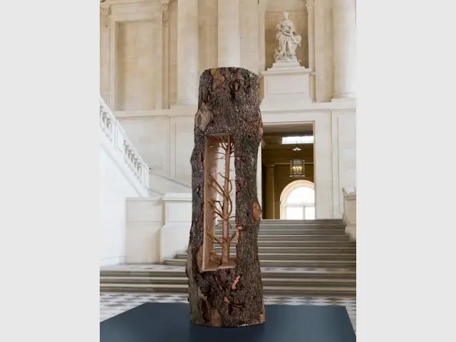 Albero Porta - Exposition Penone Versailles jardin troncs 