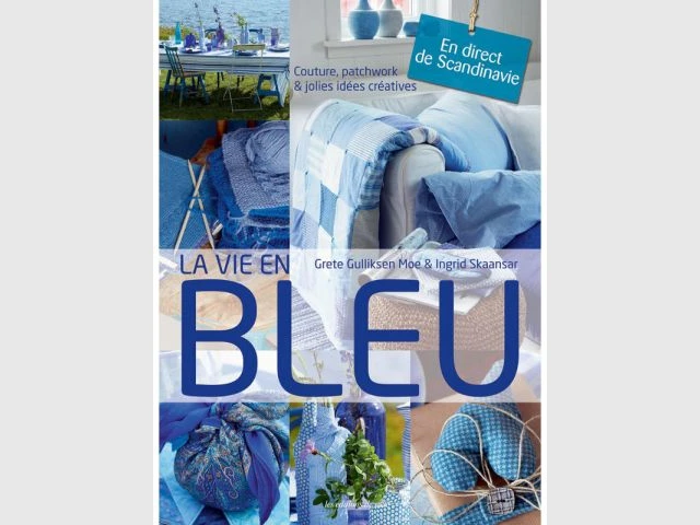 Pour les amateurs de bleu - Livres été 2013