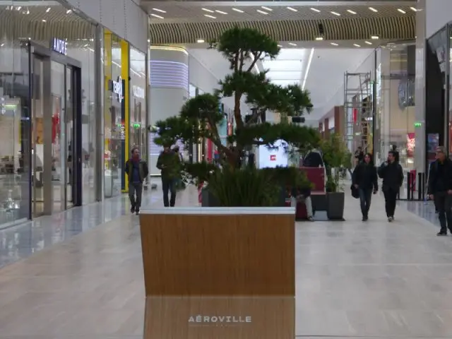 Une clientèle à trois visages - Aéroville - centre commercial