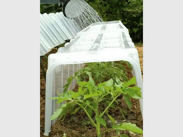 Protéger les plantes avec une serre - Jardin en hiver