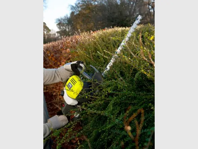 Tailler les haies - Jardin en hiver