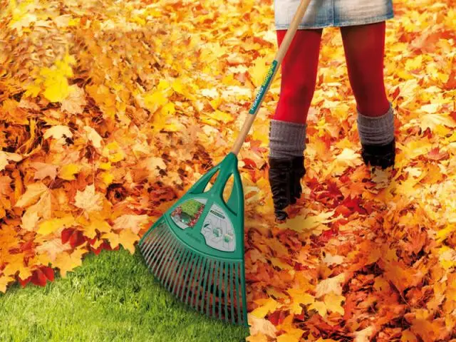 Ramasser les feuilles mortes avec un balai - Jardin en hiver