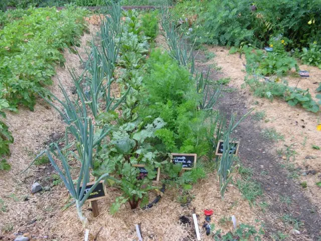 Grand prix 2013 - Catégorie Jardin ou parcelles pédagogiques - SNHF