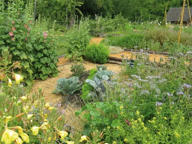 Grand prix 2013 - Catégorie Jardin ou parcelles pédagogiques - SNHF