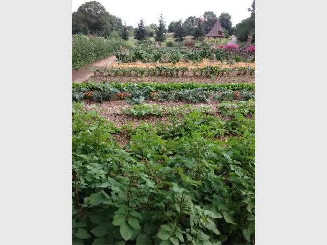 Grand prix 2013 - Catégorie Jardin potager innovant - SNHF