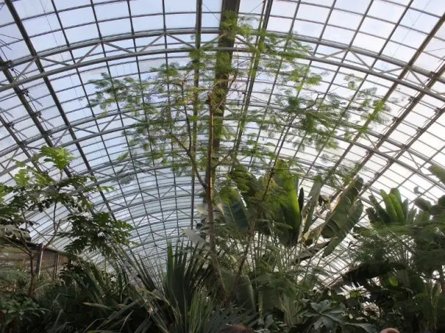 Une coupole en acier - Serre tropicale au zoo de Vincennes