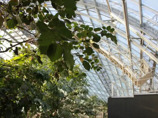 Permettre des objectifs climatiques - Serre tropicale au zoo de Vincennes